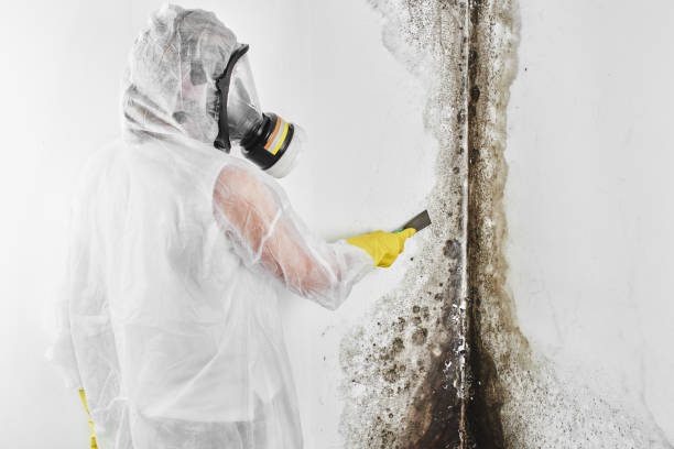 Best Mold Remediation for Specific Building Types in Coulee Dam, WA