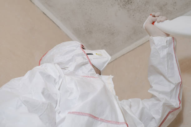 Best Residential Mold Remediation in Coulee Dam, WA