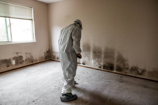 Best Post-Remediation Services in Coulee Dam, WA